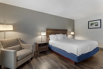 Standard Room, 1 King Bed, Non Smoking, Refrigerator & Microwave (Pet Friendly)