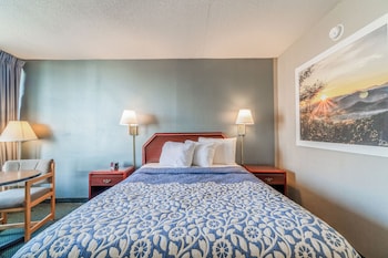 Room, 1 Queen Bed, Smoking