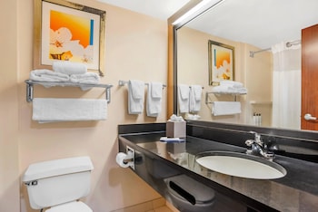 Suite, 1 King Bed, Non Smoking