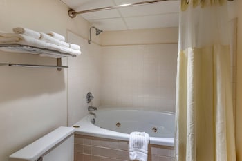 Suite, 1 King Bed with Sofa bed, Non Smoking