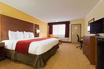 Room, 1 King Bed, Non Smoking
