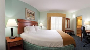Suite, 1 King Bed with Sofa bed