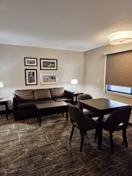 Suite, 1 King Bed (Junior King Suite)