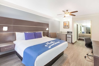 Room, 1 King Bed, Smoking