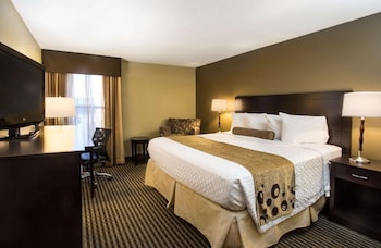 Standard Room, 1 King Bed, Non Smoking, Refrigerator & Microwave