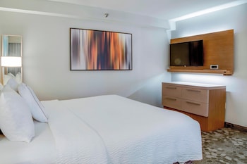 Suite, 1 King Bed with Sofa bed