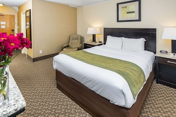 Standard Room, 1 Queen Bed, Non Smoking