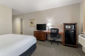 Standard Room, 1 King Bed, Accessible, Non Smoking