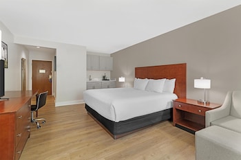 Standard Room, 1 King Bed, Non Smoking, Refrigerator & Microwave (Shower Only)