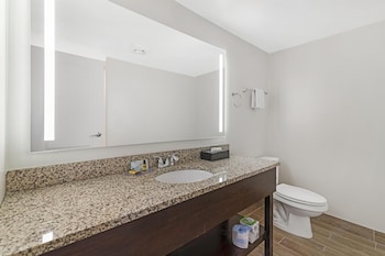 Standard Room, 1 King Bed, Non Smoking, Refrigerator & Microwave (Shower Only)