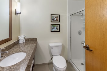 Suite, 1 King Bed with Sofa bed, Non Smoking