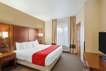 Suite, 1 King Bed with Sofa bed, Non Smoking
