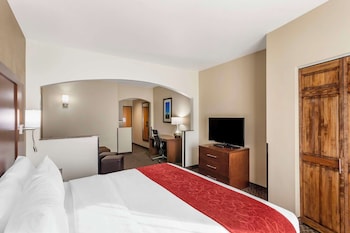 Suite, 1 King Bed with Sofa bed, Non Smoking