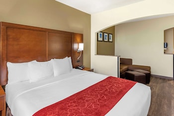 Suite, 1 King Bed with Sofa bed, Non Smoking