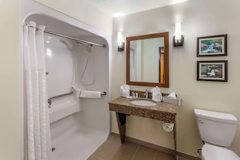 Suite, 1 King Bed with Sofa bed, Non Smoking