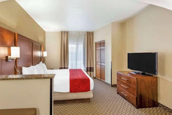 Suite, 1 King Bed with Sofa bed, Non Smoking