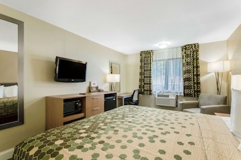 Room, 1 King Bed