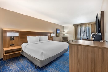 Standard Room, 1 King Bed, Accessible, Refrigerator & Microwave