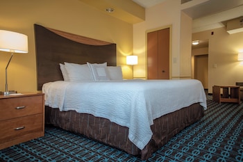 Suite, 1 King Bed with Sofa bed