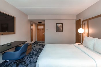 Room, 1 King Bed, Roll-in Shower