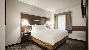 Room, 1 King Bed with Sofa bed