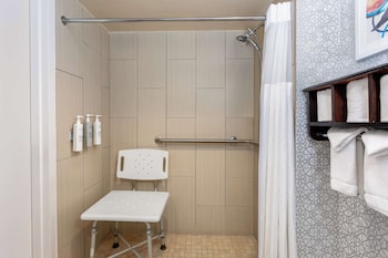 1 King Bed, Mobility Access, Roll In Shower, Non Smoking