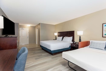 1 King Bed, Larger room, With Sofa Bed, Microwave, Fridge, Non Smoking