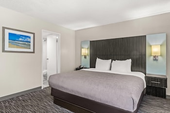 Executive Studio Suite, 1 King Bed with Sofa bed, Non Smoking