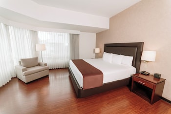 Premium Suite, 1 King Bed with Sofa bed