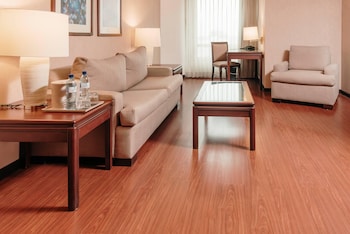 Premium Suite, 1 King Bed with Sofa bed