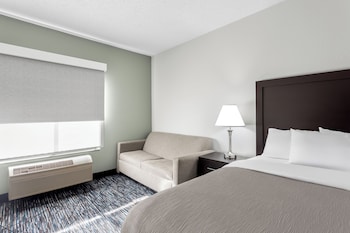 Room, 1 King Bed with Sofa bed, Non Smoking (Efficiency)