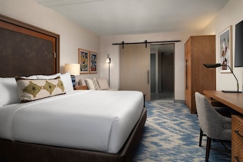 Room, 1 King Bed (Hearing Accessible)