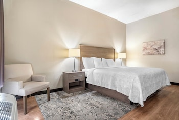 Premium Room, 1 King Bed, Non Smoking (Upgraded Bedding & Snack)