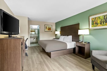 Room, 1 King Bed, Non Smoking