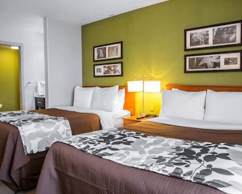 Standard Double Room, 2 Double Beds, Non Smoking