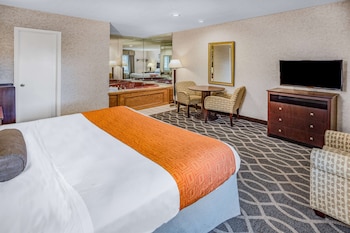 Studio Suite, 1 King Bed, Smoking