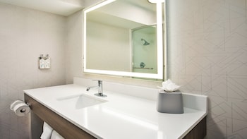Room, Accessible (Roll-In Shower)
