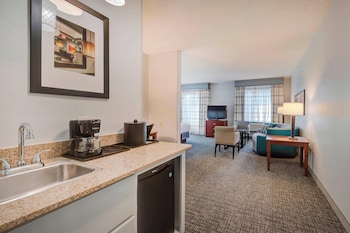 Executive Suite, 1 King Bed with Sofa bed