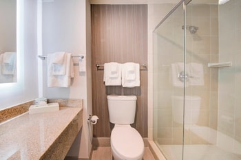 Executive Suite, 1 King Bed with Sofa bed