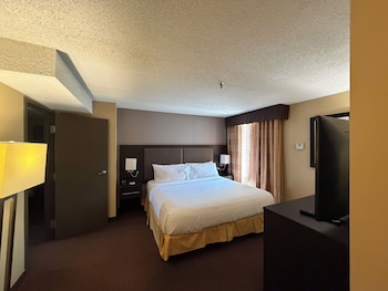 Suite, 1 King Bed with Sofa bed, Non Smoking