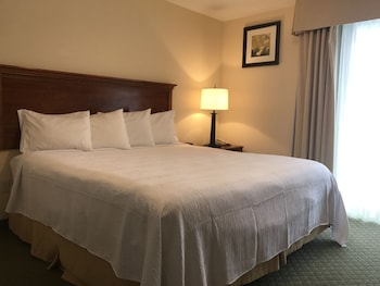 Basic Studio, 1 Queen Bed, Accessible