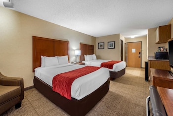 Standard Room, 2 Double Beds, Non Smoking (Pet Friendly)