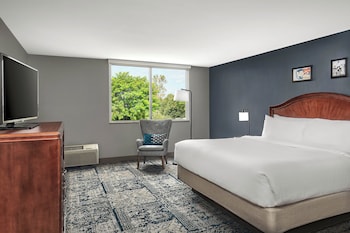 Deluxe Room, 1 King Bed