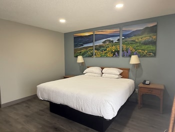 Room, 1 King Bed, Non Smoking