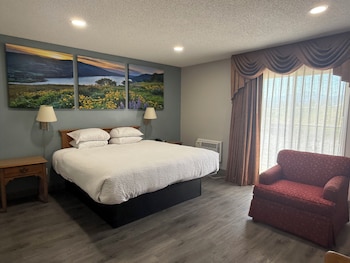 Room, 1 King Bed, Non Smoking