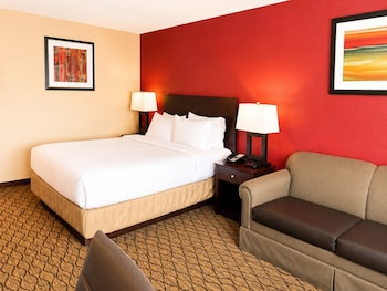 Standard Room, 1 King Bed with Sofa bed