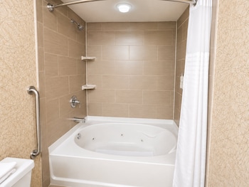 Premium Room, 1 King Bed (Garden Tub)