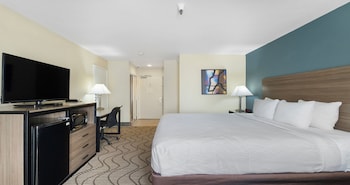 Standard Room, 1 King Bed, Non Smoking (with Sofabed)
