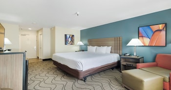 Standard Room, 1 King Bed, Non Smoking, Pool View