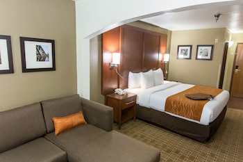Executive Suite, 1 King Bed with Sofa bed, Non Smoking